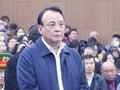 Bị cáo Đỗ Anh Dũng, Chủ tịch Tập đoàn Tân Hoàng Minh.