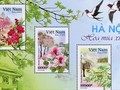 Các loài hoa giới thiệu trong bộ tem được phỏng theo lời bài hát "Hà Nội 12 mùa hoa" của nhạc sĩ Giáng Son.