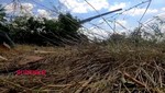 Quân đội Nga, dân quân Donetsk tiến công bao vây thành phố Avdeevska