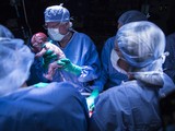 Em bé đầu tiên được sinh ra nhờ phương pháp cấy ghép tử cung. Ảnh: Time.com