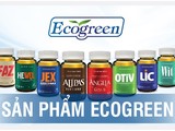 Eco Pharma - nhà phân phối độc quyền sâm Alipas Platinum, sâm Angela Gold: Doanh thu nghìn tỷ, lợi nhuận mỏng tang...