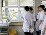 Sinh viên y khoa thực tập tại các bệnh viện