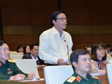 ĐBQH Nguyễn Hồng Vân (Phú Yên) có nhiều ý kiến đóng góp về hình thức xử lí kỉ luật đối với công chức sau khi nghỉ hưu.