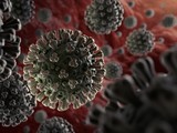 Nhiều người lo lắng về khả năng sống của virus corona chủng mới trên các bề mặt bị nhiễm (Ảnh: WHO)