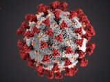 Mô hình virus SARS-CoV-2 (Ảnh - AFP)