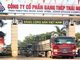 Thanh tra Chính phủ vừa kết luận nhiều sai phạm tại dự án cải tạo mở rộng sản xuất giai đoạn 2 nhà máy Gang thép Thái Nguyên/ Ảnh: tisco.com.vn
