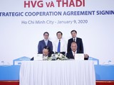 Buổi lễ ký kết hợp tác chiến lược giữa Thadi và HVG (Ảnh: Thaco)