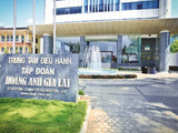 CTCP Gia súc Lơ Pang đặt trụ sở trùng với địa chỉ trung tâm điều hành của Tập đoàn Hoàng Anh Gia Lai