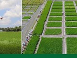 Hoàn thiện hệ sinh thái cho chuyển đổi số nông nghiệp Việt Nam