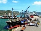 Chính phủ yêu cầu Thanh tra toàn diện việc cổ phần hóa cảng Quy Nhơn