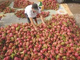 Áp lực lớn cho chính sách tiền tệ Việt Nam trong mùa dịch