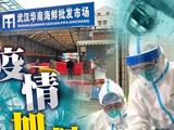 Dịch bệnh đã lan rộng khiến số người chết tăng lên (Ảnh: Đa Chiều)