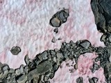 Băng tuyết màu hồng xuất hiện trên dãy Alps. Ảnh: RTE