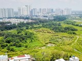 Ban Thường vụ Thành ủy TPHCM đã thống nhất đề nghị kỷ luật với các cá nhân liên quan.