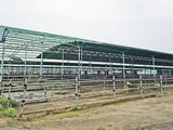 Một góc trại chăn nuôi bò của dự án chăn nuôi bò giống và bò thịt tại Hà Tĩnh do Công ty CP chăn nuôi Bình Hà thực hiện ở địa bàn huyện Kỳ Anh, tỉnh Hà Tĩnh bị bỏ hoang/ Ảnh: sggp.org.vn