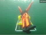 Robot cứ những người đuối nước (Ảnh: New Atlas)