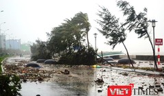Đà Nẵng đầu tư hơn 200 tỷ đồng đầu tư đê, kè biển chống xâm thực cuối tuyền đường Nguyễn Tất Thành
