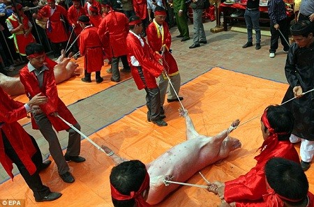 Mỗi năm, người dân ở làng Ném Thượng, tỉnh Bắc Ninh đều tổ chức lễ hội chém lợn.