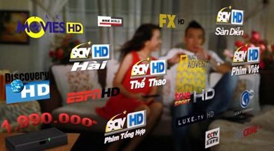 SCTV hay VTVcab dẫn đầu thị phần truyền hình trả tiền?