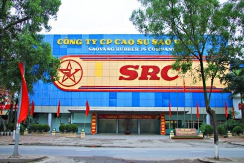 CTCP Cao su Sao Vàng (Mã CK: SRC). (Ảnh minh họa - Nguồn: Internet)