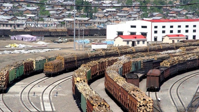 Việc cho phép người Trung Quốc sang chặt phá rừng và xuất khẩu số lượng lớn gỗ sang Trung Quốc đã gây nên bất đồng trong chính phủ Nga