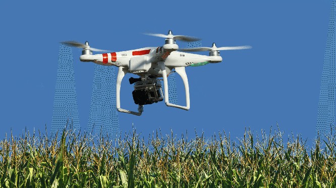Một chiếc drone đang thu thập thông tin để phân tích cánh đồng ngô. Ảnh: Dronetechnews