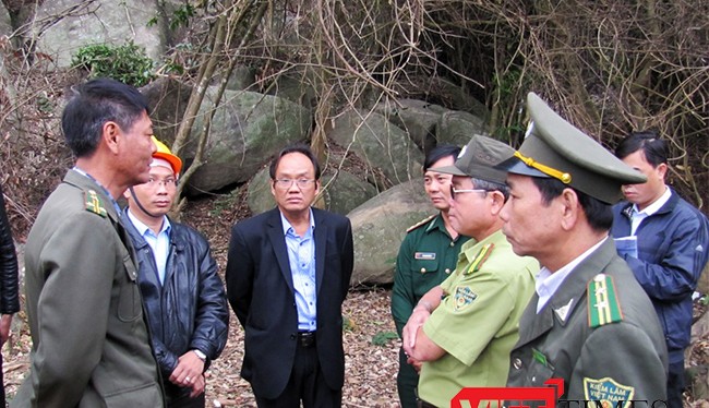 Cơ quan chức năng Đà Nẵng lại phát hiện thêm một vụ phá rừng nghiêm trọng tại Khu bảo tồn thiên nhiên Sơn Trà