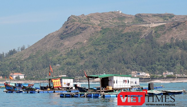 Trước thông tin cá nuôi lồng bè của một số hộ dân đảo Lý Sơn chết bất thường là do bị đầu độc phát tán, UBND huyện Lý Sơn chỉ đạo cơ quan công an vào cuộc