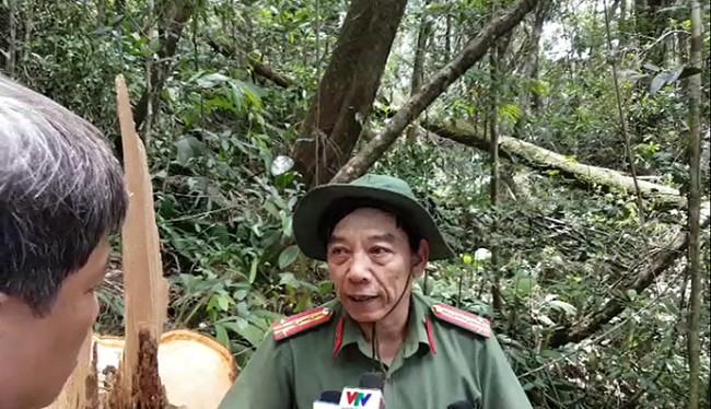 Đại tá Nguyễn Viết Lợi, Giám đốc Công an tỉnh Quảng Nam cho rằng, đây là vụ phá rừng đặc biệt nghiêm trọng, cần phải điều tra thật nhanh chóng, và xử lý nghiêm minh