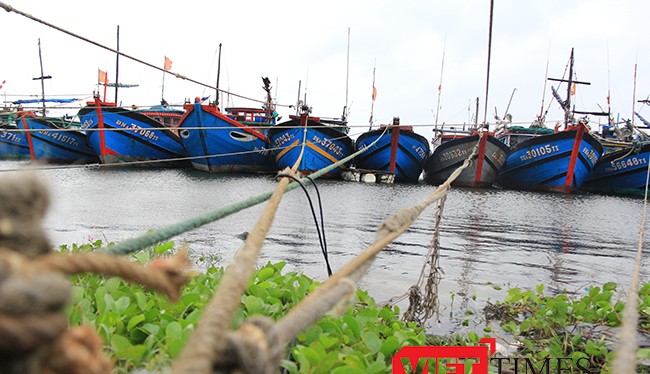 Tính đến thời điểm hiện tại, Đà Nẵng đã có hơn 1.700 phương tiện/6.500 lao động của các tỉnh đã vào neo đậu tại bờ.