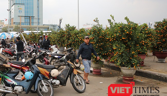 Mưa kéo dài, kinh doanh khó khăn, sáng 25/1, Chủ tịch UBND TP Đà Nẵng Huỳnh Đức Thơ quyết định giảm giá 50% tiền thuê mặt bằng bán hoa cho các tiểu thương.