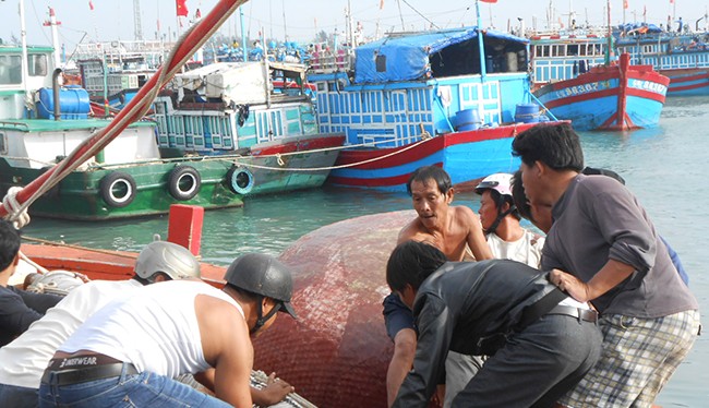 Ngư dân Lý Sơn phần khởi chuẩn bị ngưu lưới cụ để mở biển đầu năm