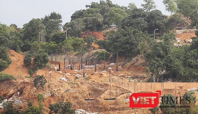Dự án "băm" bán đảo Sơn Trà: Sở NN&PTNT cho phá rừng để tận thu củi?