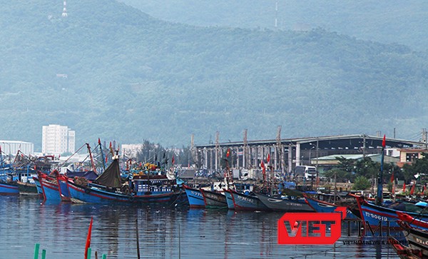 Chủ tịch UBND TP Đà Nẵng đã ký quyết định phê duyệt quy hoạch Dự án Cảng cá Đà Nẵng thành khu đô thị kết hợp cảng nghề cá quốc tế