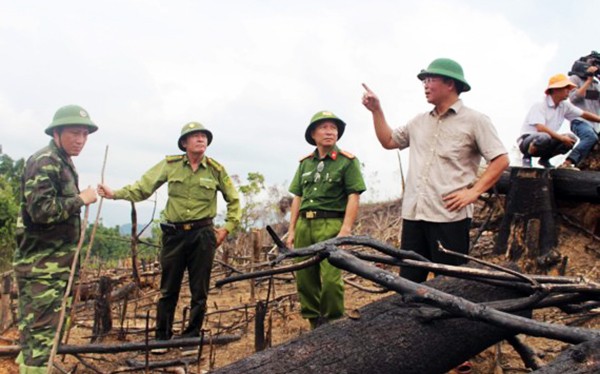 Ông Lê Trí Thanh,Phó Chủ tịch UBND tỉnh Quảng Nam và các ngành chức năng tại hiện trường vụ phá rừng ở Tiên Lãnh (Tiên Phước, Quảng Nam)