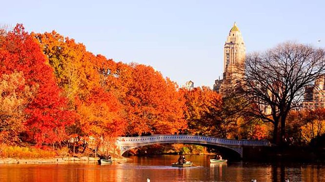 Công viên Central Park, Thành phố New York, Hoa Kỳ nhuốm màu vào thu (ảnh Adam Jeffery Photography)