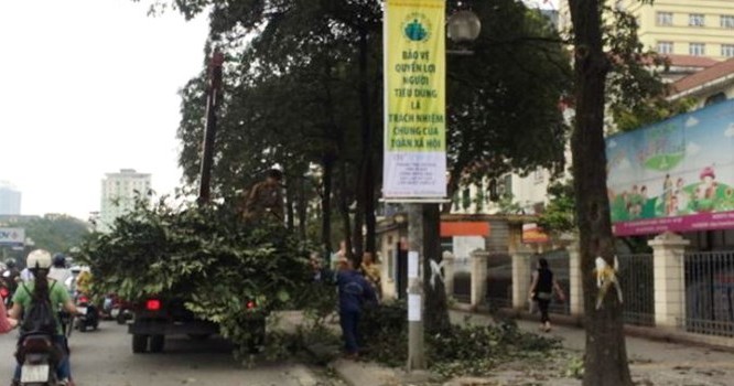 Hình ảnh được chia sẻ trên mạng xã hội Facebook cho thấy các công nhân đang chặt cây xanh trên đường Nguyễn Chí Thanh trưa nay 19/3.