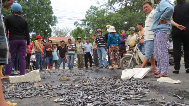 Người dân đổ cá, tôm bị chết ra quốc lộ 1 để phản đối xáng cạp gây ô nhiễm môi trường - Ảnh: D.T.