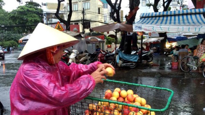 Trái đào có xuất xứ từ Trung Quốc được bày bán tại chợ Nguyễn Tri Phương (TP.HCM) - Ảnh: DŨNG TUẤN