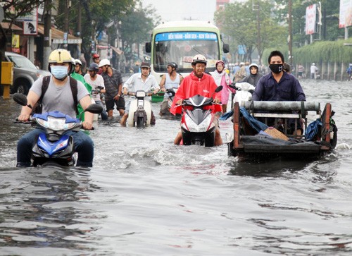 Cảnh tượng này đã trở nên thường thấy hơn ở các đô thị lớn như Hà Nội, TP.HCM. 