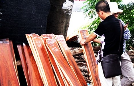Một thương lái Trung Quốc đang ký tên mình vào các tấm gỗ đã chọn mua tại chợ gỗ làng Đồng Kỵ, Từ Sơn, Bắc Ninh. Ảnh: THỤY CHÂU