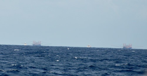 Hai tàu Kiểm ngư Việt Nam (màu trắng) đang kiên trì xua đuổi 2 tàu cá Trung Quốc có trọng tải lớn gấp 3-4 lần, trên vùng biển Ba Kè, chiều 20.1 