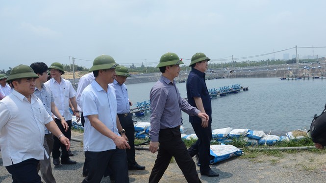Phó thủ tướng Trịnh Đình Dũng thị sát tình hình cá biển chết tại Hà Tĩnh 