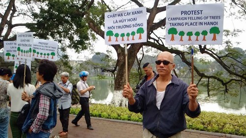 Sáng 20/3, người dân ở Hà Nội biểu thị sự không đồng tình chặt hạ hàng loạt cây xanh. Ảnh: Nguyễn Sơn.