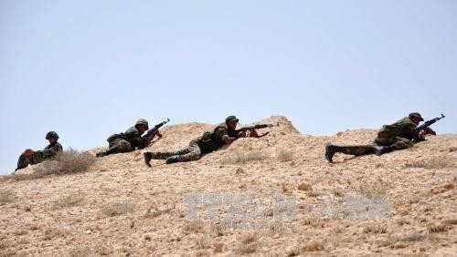 Binh sĩ Syria giao tranh với IS tại khu vực đông bắc thành phố cổ Palmyra. Ảnh: AFP/TTXVN 