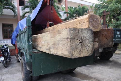 Chiếc xe và số gỗ tang vật vụ việc tại trụ sở Công an tỉnh Quảng Trị - Ảnh: Nguyễn Phúc