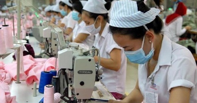 Vụ doanh nghiệp Việt mất đơn hàng 2 tỷ USD: Bộ Công Thương đề nghị sửa Quyết định 80