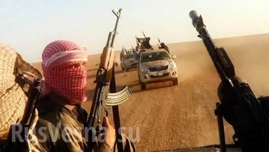 Nóng: Các tay súng IS và Al-Nusra rút lui khỏi ngoại vi Damascus