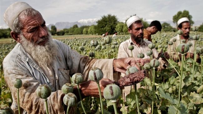 Video: Afganhistan – thị trường và chiến tranh thuốc phiện