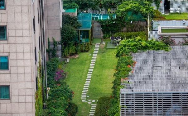 Vườn nhiệt đới trên mái nhà ở Seul